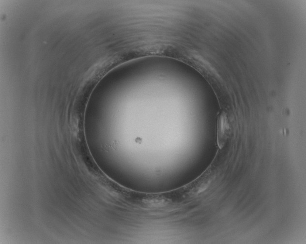 X0000076390693200610202105