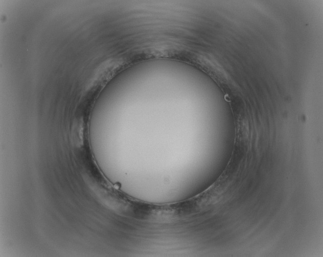 X0000076390694200610202105