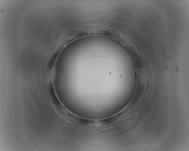 X0000076390695200610202105