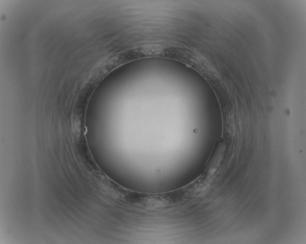 X0000076390697200610202104