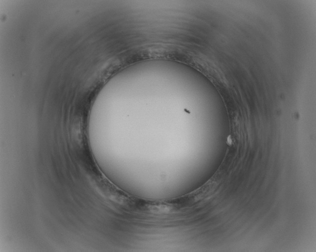 X0000076390698200610202104