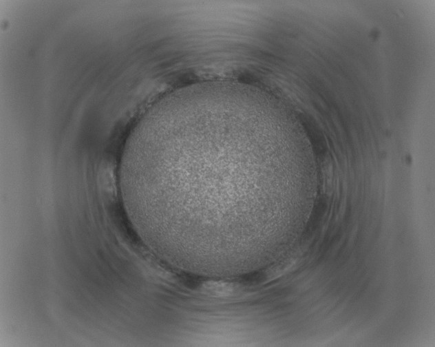 X0000076390699200610202104