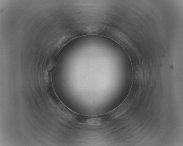 X0000076390700200610202104