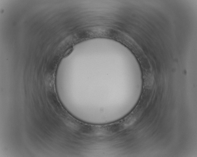 X0000076390701200610202104