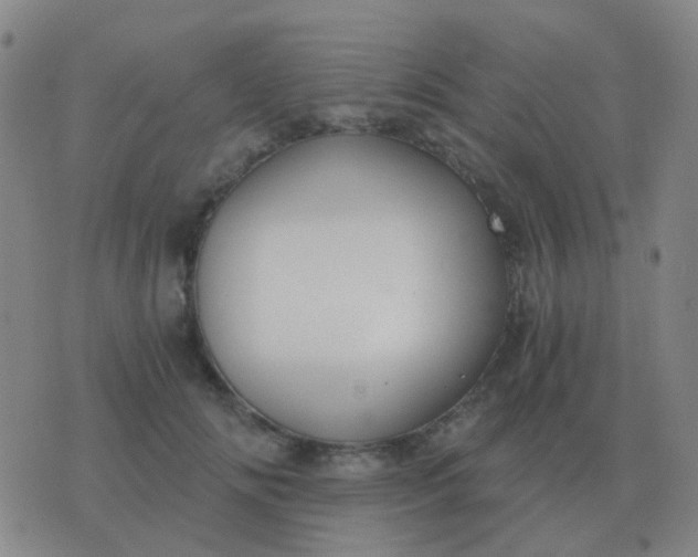 X0000076390702200610202104