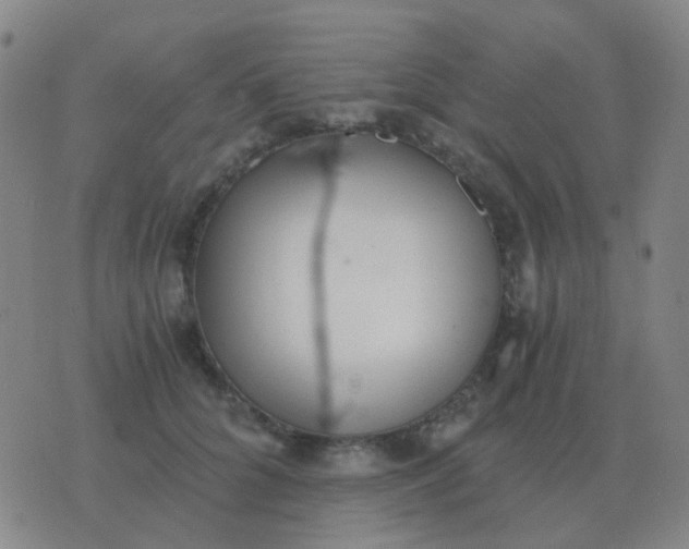 X0000076390704200610202104