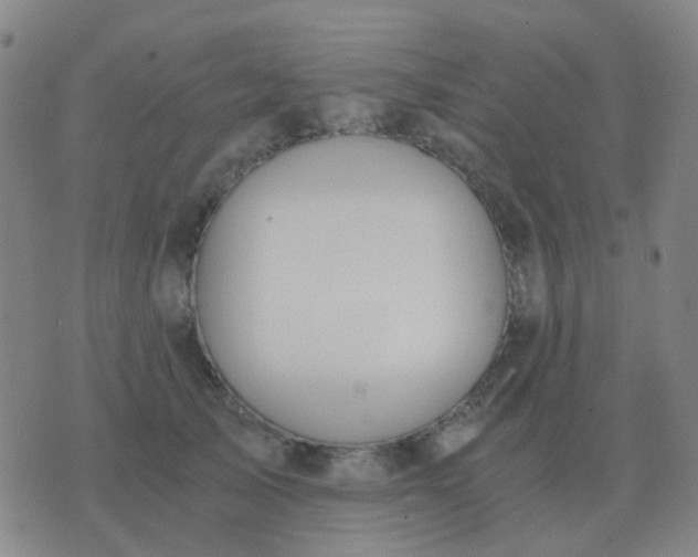 X0000076390705200610202104