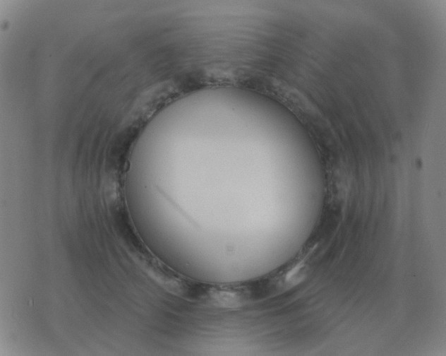 X0000076390706200610202104