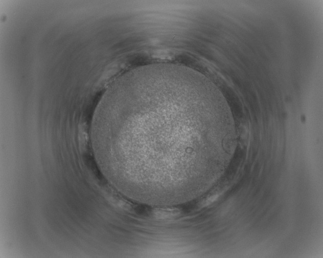 X0000076390707200610202104