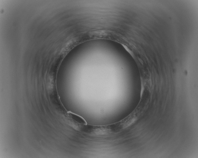 X0000076390708200610202104