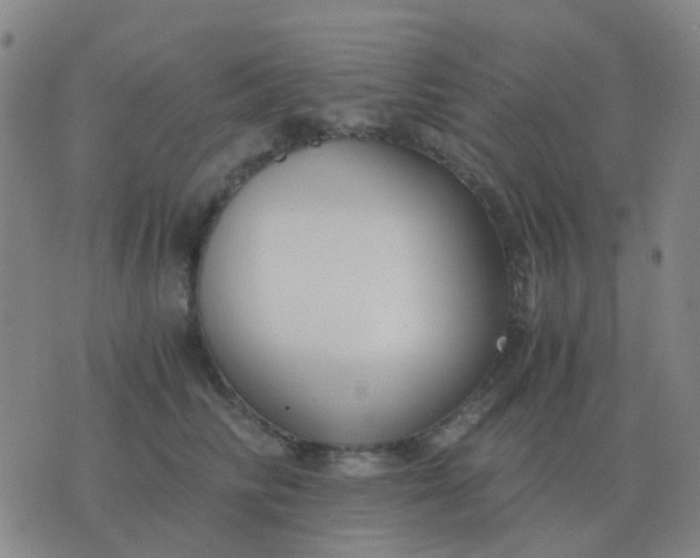 X0000076390710200610202104