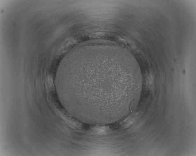 X0000076390711200610202104