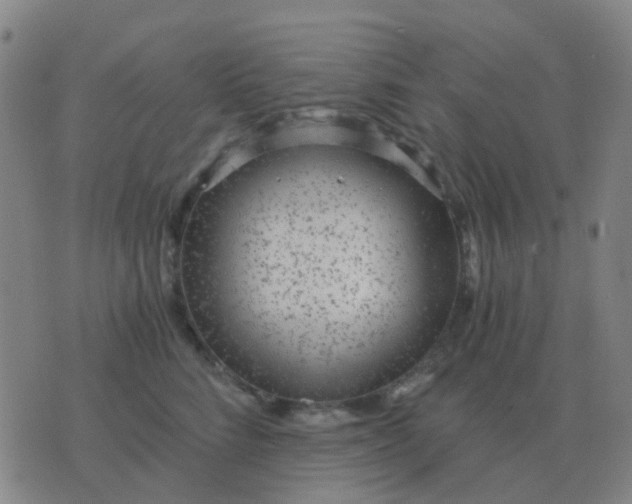 X0000076390712200610202104