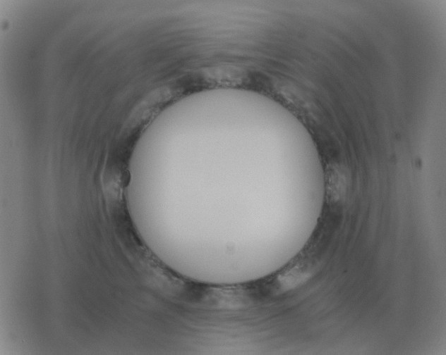 X0000076390713200610202104