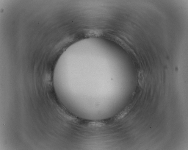 X0000076390714200610202104