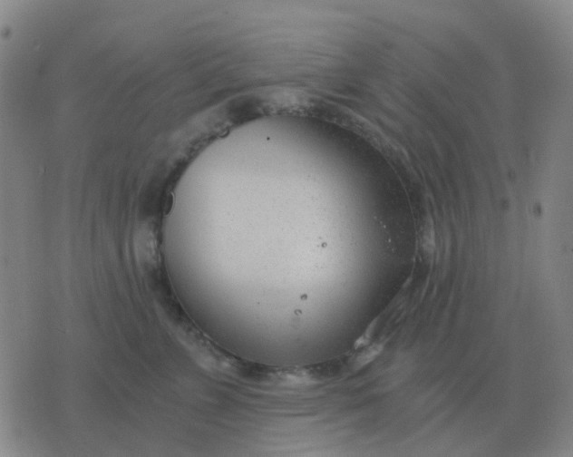 X0000076390715200610202104