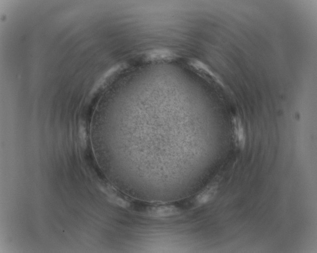 X0000076390716200610202104