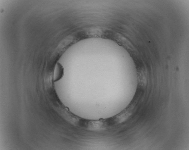 X0000076390717200610202104