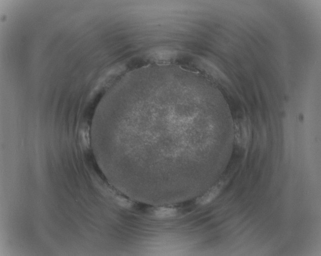 X0000076390718200610202104