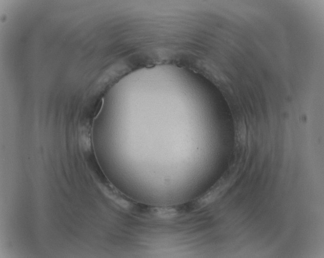 X0000076390719200610202104