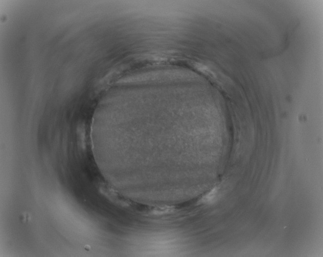 X0000076390720200610202104