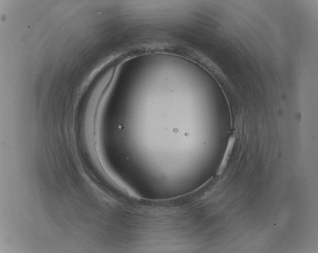 X0000076390722200610202103