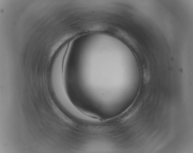 X0000076390725200610202103