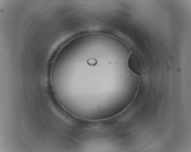 X0000076390728200610202103