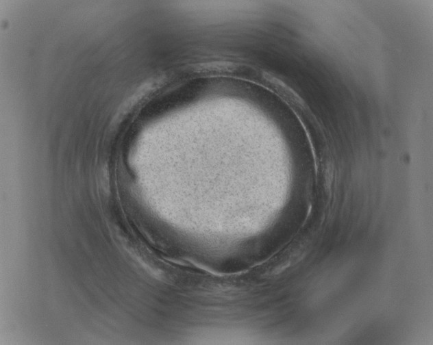 X0000076390729200610202103