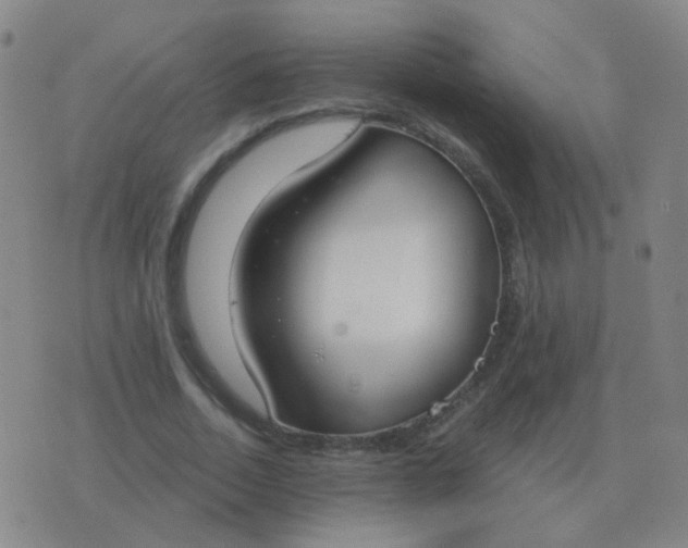 X0000076390730200610202103