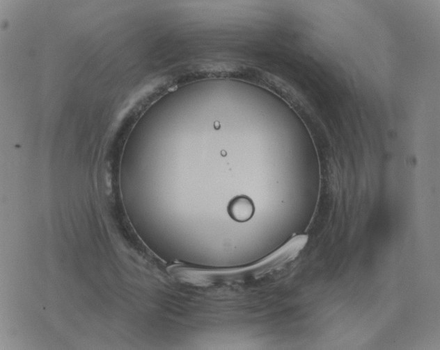 X0000076390731200610202104