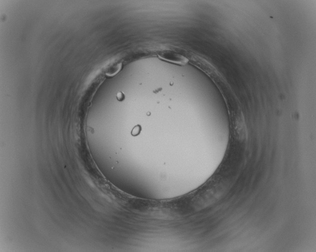 X0000076390732200610202104