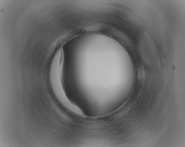 X0000076390733200610202104