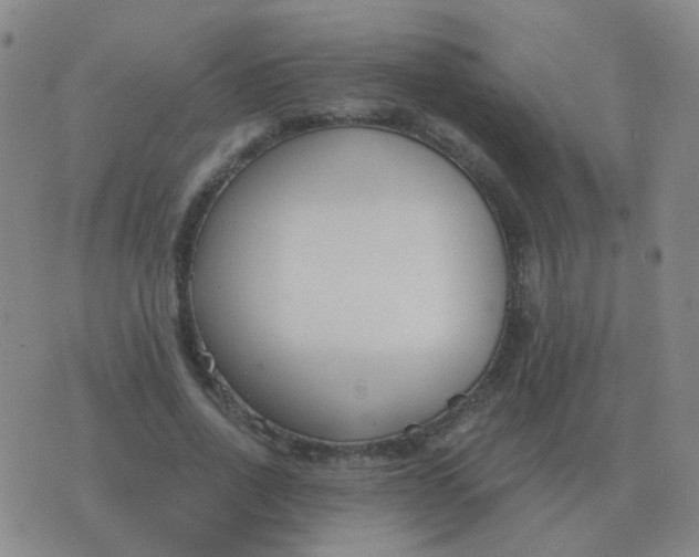 X0000076390734200610202104