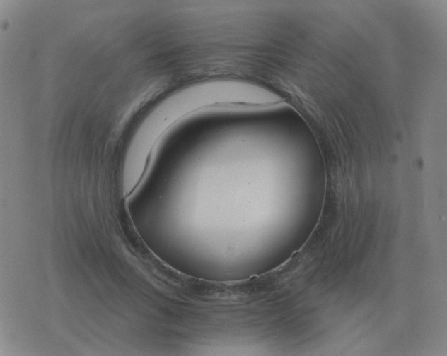 X0000076390735200610202104