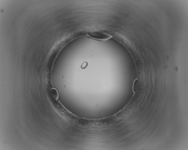 X0000076390736200610202104