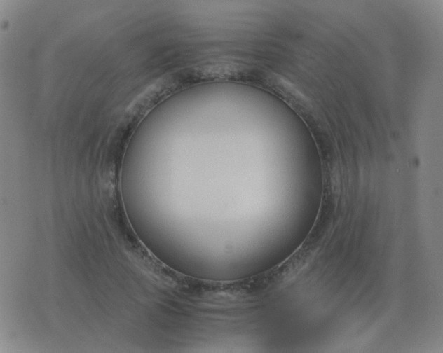 X0000076390737200610202104