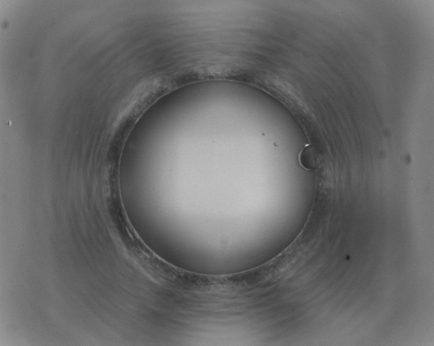 X0000076390738200610202104