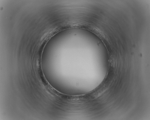 X0000076390740200610202104