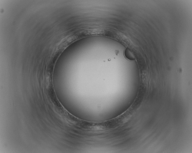 X0000076390741200610202104