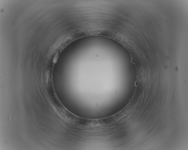 X0000076390742200610202104