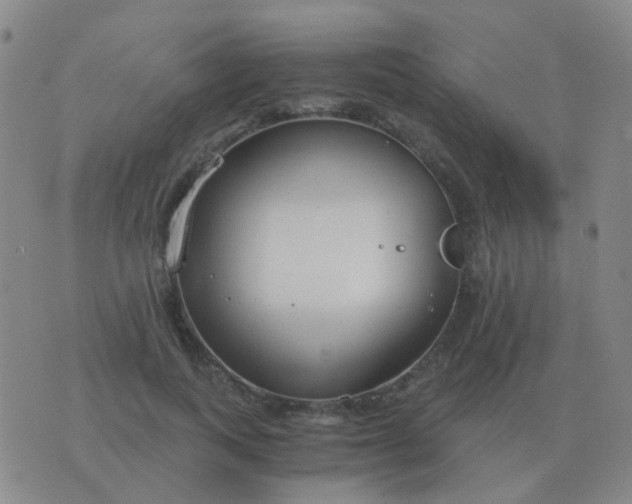 X0000076390743200610202104