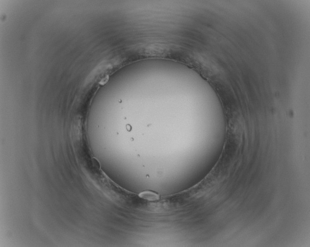 X0000076390744200610202104