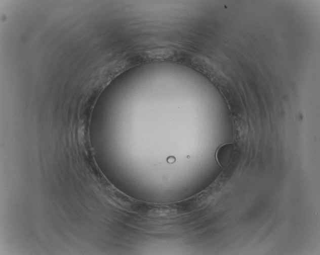 X0000076390745200610202104