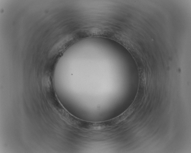 X0000076390746200610202104