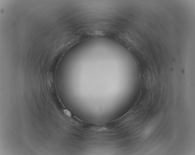 X0000076390747200610202104