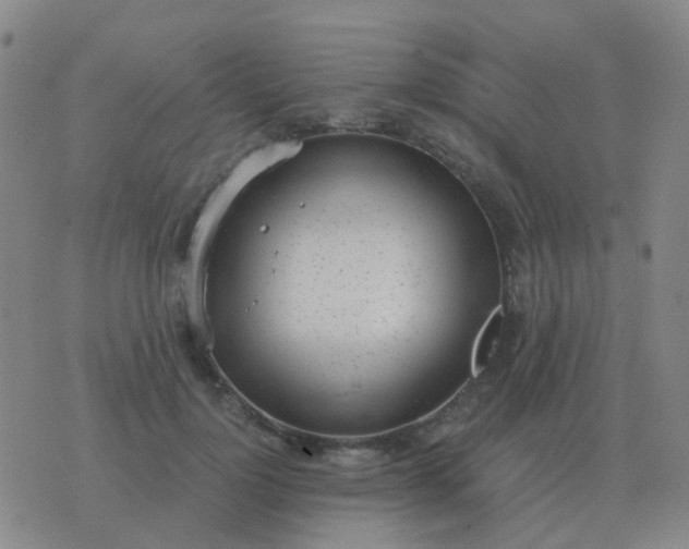 X0000076390748200610202104