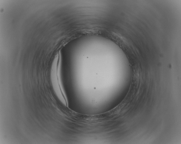 X0000076390749200610202104