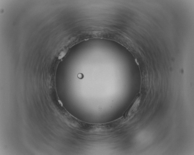 X0000076390750200610202104