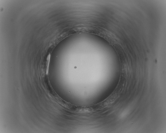 X0000076390751200610202104